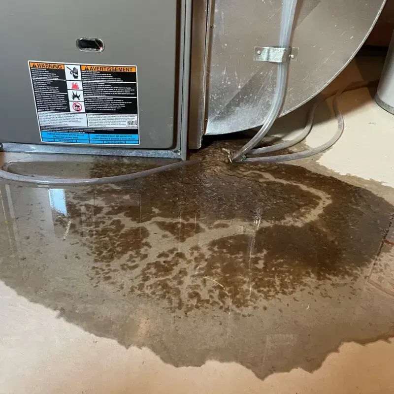 Appliance Leak Cleanup in Wayne, ME